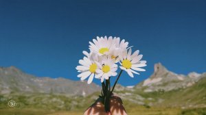 Fidel Wicked - Sadness | Demo Video |