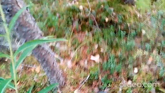 копаем металлолом смотреть онлайн