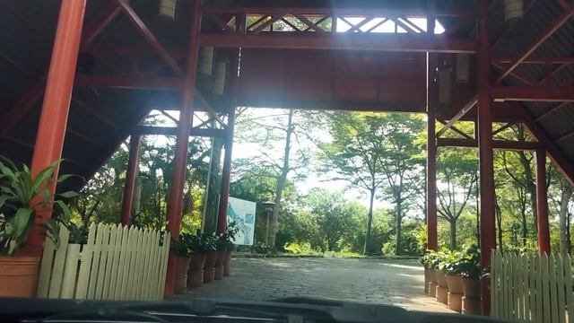 Nature's Paradise: Adventure at Giang Điền Waterfalls смотреть онлайн