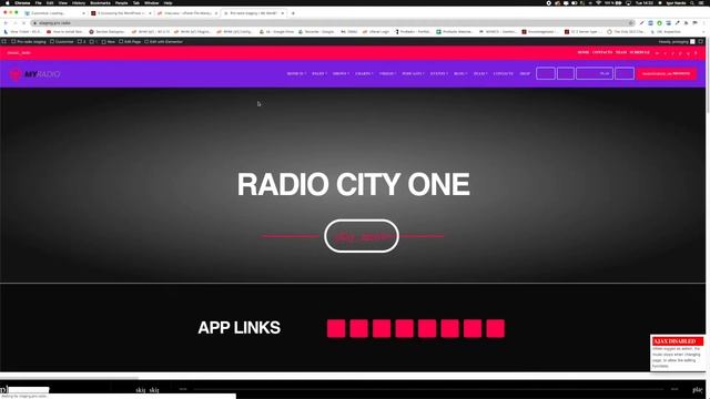 How to fix stuck WordPress Customizer preview error [Pro.Radio WordPress Theme] смотреть онлайн