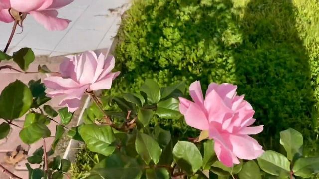 АНТАЛИЯ ?ГУЛЯЕМ ПО ГОРОДУ ? КРАСИВЫЕ ТУРЕЦКИЕ СУМКИ ? смотреть онлайн