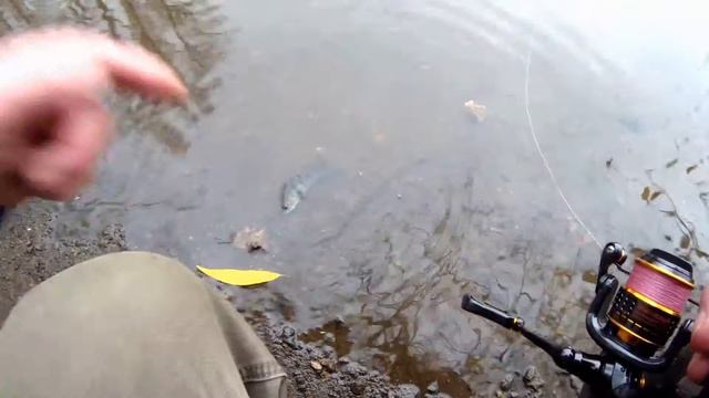 Посещение ЗАПРЕТКИ 29.10.2019 смотреть онлайн