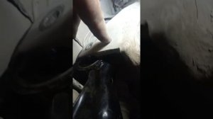 замена задней подушки двс Лансер 9