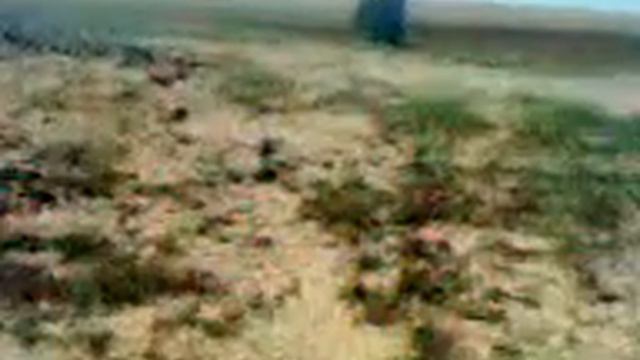 саранча залазит в дом беспредел смотреть онлайн