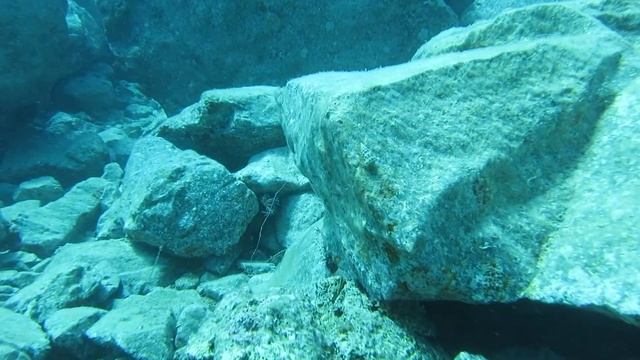 Черногория пляж Плоче осьминожек смотреть онлайн