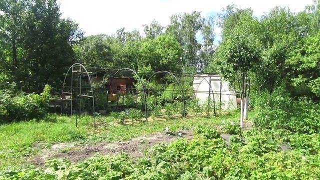 ЧАСТЬ 41/ДАЧНЫЙ ДНЕВНИК/НИКАКОЙ СМЫСЛОВОЙ НАГРУЗКИ/ДАЧНЫЙ ДЕНЬ/ДАЧА ЛЕТО ИЮНЬ смотреть онлайн