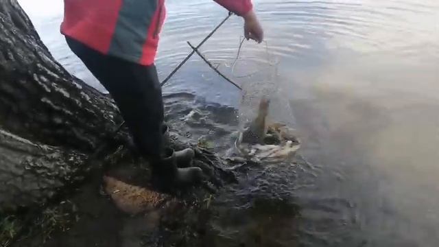 рыбалка 3 июля 2021 смотреть онлайн