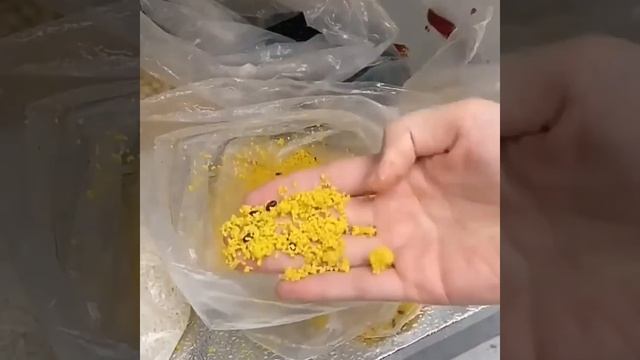 Лайфхаки для хранения крупы что жучки не заводились #shorts смотреть онлайн