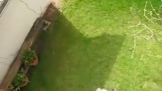 Testing  Canon PowerShot SX100 IS