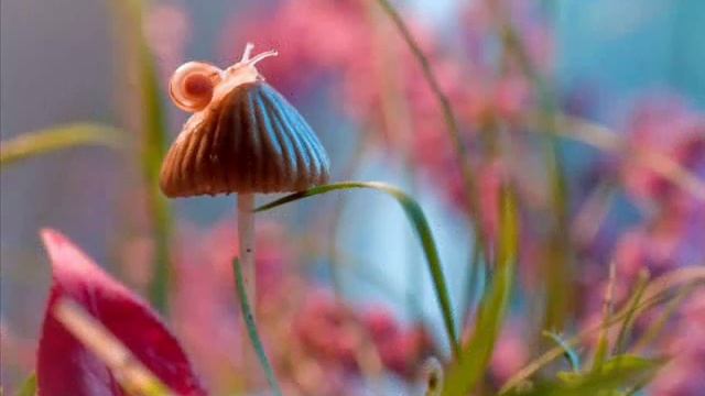 Самая красивая музыка для души! смотреть онлайн