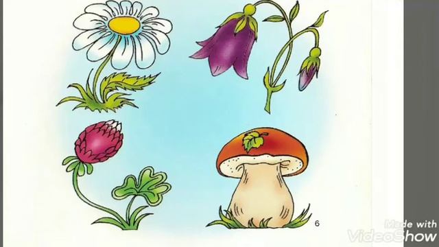 Игра "Четвёртый лишний" (развитие логики и внимания) смотреть онлайн