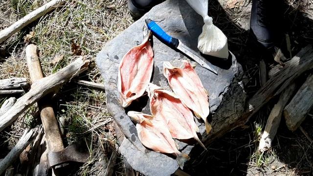ПОЙМАЛ В ГОРНОЙ РЕКЕ ФОРЕЛЬ И ПРИГОТОВИЛ ЕЁ НА КАМНЯХ, Самый вкусный способ приготовления. Дидоэтия смотреть онлайн