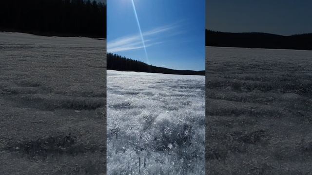 Спасение окуня Рыбалка.Красотавокруг#видеодня#природа#fishing#джиг#миррыбалки#рыбацкаядуша#якутия смотреть онлайн