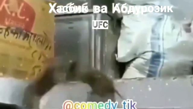 бой хасбик и Абдурозик смотреть онлайн