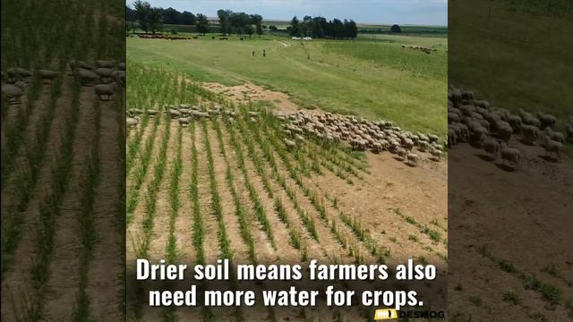 Major Rivers Drying Up - More Rain, Less Water Available смотреть онлайн