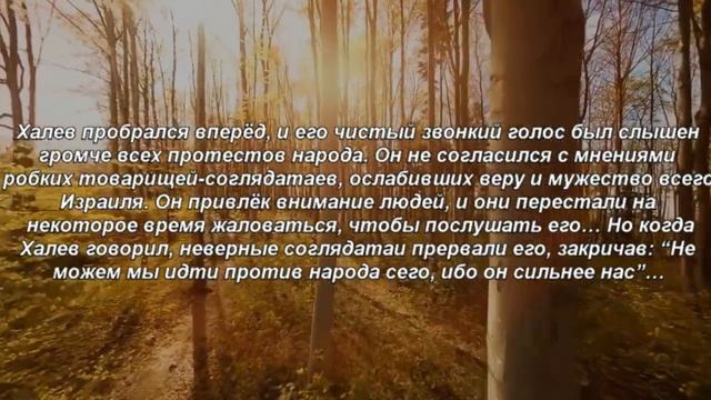 Книга «Борьба и мужество: Противоречивый отчёт» (Элен Уайт) (глава 4.10) смотреть онлайн