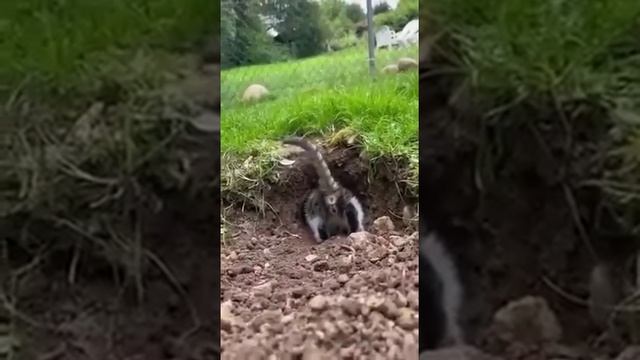 нежданчик смотреть онлайн
