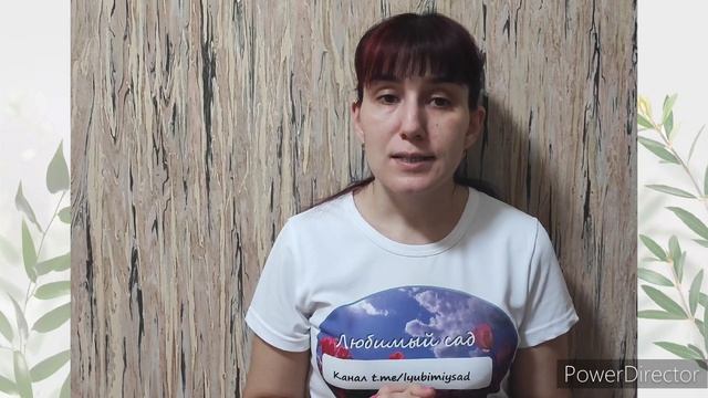 обрезка земляники / клубники весной смотреть онлайн