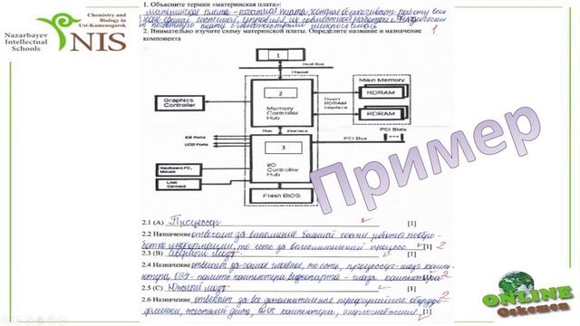 Садыканова видео1