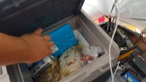 Отдых с палаткой на море в Крыму. Село Курортное июль 2020.