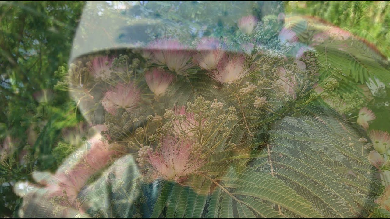 Ольга Гранина - Август сердце смотреть онлайн