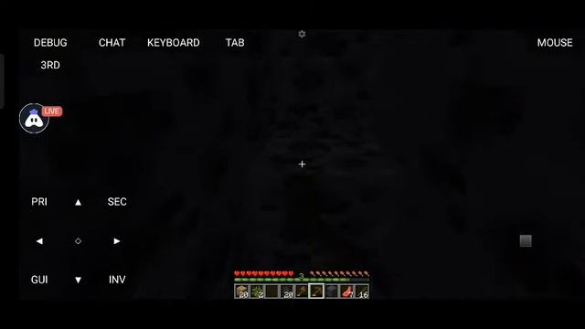 Minecraft Java Edition смотреть онлайн