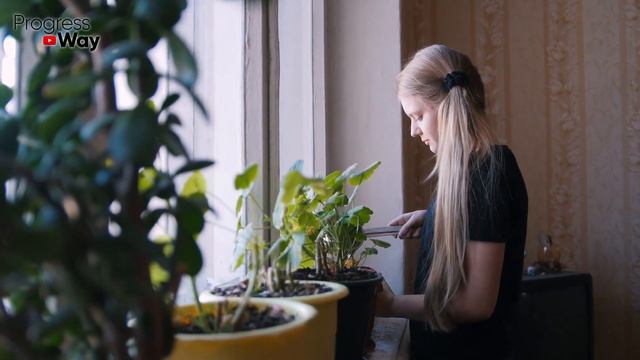 1 ТАБЛЕТКА ПОД ЛЮБОЙ ДОМАШНИЙ ЦВЕТОК И ПЫШНОЕ ЦВЕТЕНИЕ БУДЕТ ПОСТОЯННО!