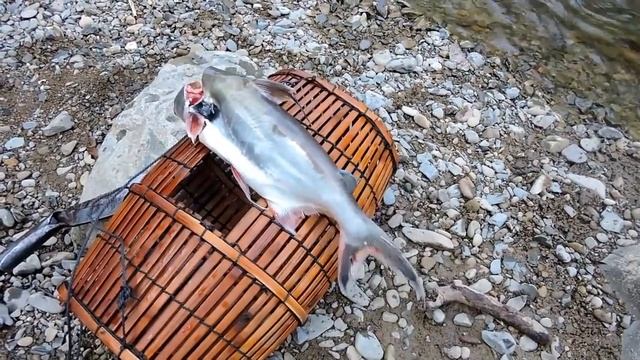 Primitive Technology примитивные технологии.ловля сома .рыбалка амазонок. смотреть онлайн