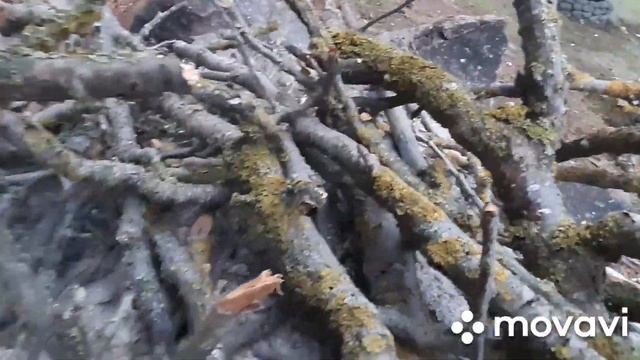 ИНТЕРЕСНО-Куда булыжник из цемента!