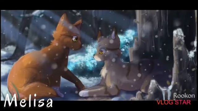 ×~Клип Коты Воители Уголёк Белка и Ежевика Твоя девочка ушла~× смотреть онлайн