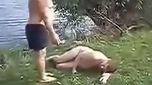 Ржач . Хорошо на природе смотреть онлайн