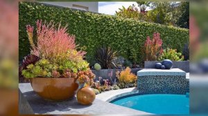 Контейнерное озеленение в ландшафтном дизайне