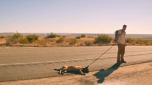 DOG 2022 Hollywood Comedy Movie