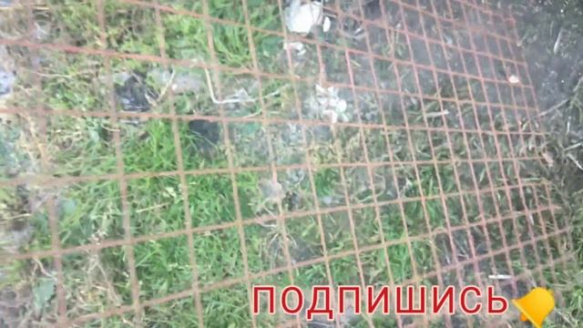 Подставка для обуви своими руками. Вариант №1 смотреть онлайн