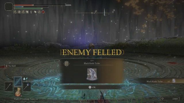Alecto Black Knife RIng Leader Boss Fight - Elden Ring смотреть онлайн
