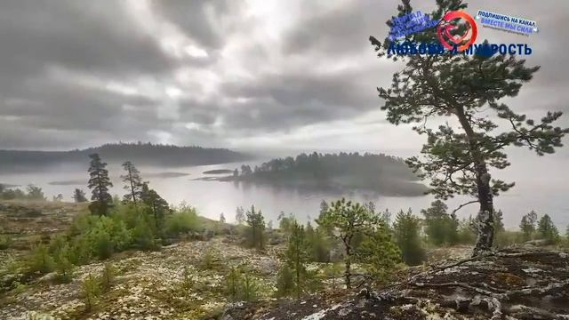 Ошо Всё Богатство и Царство Небесное Уже Внутри Тебя Утренние медитации смотреть онлайн