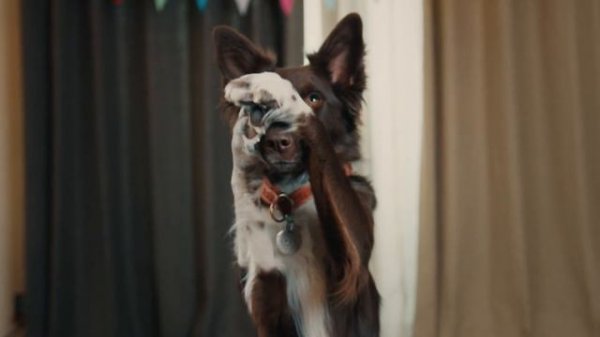 Stop Hating Russians