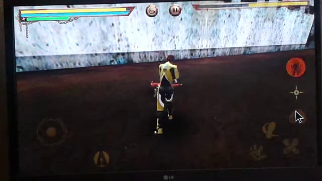 Тигр каратэ.