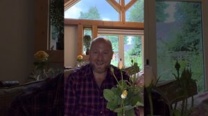 Personal review of rose “Nye Bevan” from @david_austin_roses #gardenerben