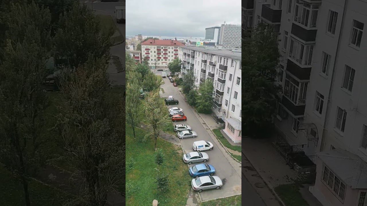 respect 2208241044 #asmr #remix #automobile #pets #dog смотреть онлайн