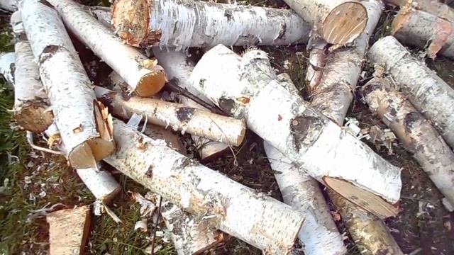 Семейство мышек живущее в дачных дровах. смотреть онлайн