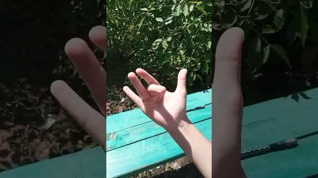 ПЕНСПИНИНГ| Как Научиться Делать Sonic? смотреть онлайн