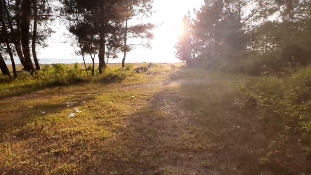 Абхазия. Цветение. Цитрусовый совхоз. Алахадзы. Пляж. Море. Первые шаги младшей смотреть онлайн