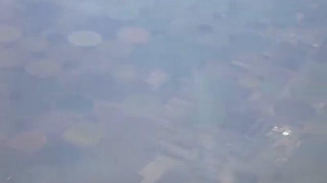 Круглые поля смотреть онлайн