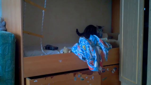 VID 20131104 133824 1 смотреть онлайн