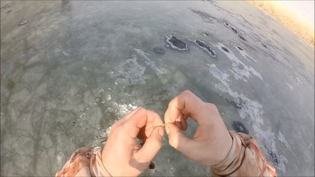 Рыбалка на щук по последнему льду,жерлицы 2019 смотреть онлайн