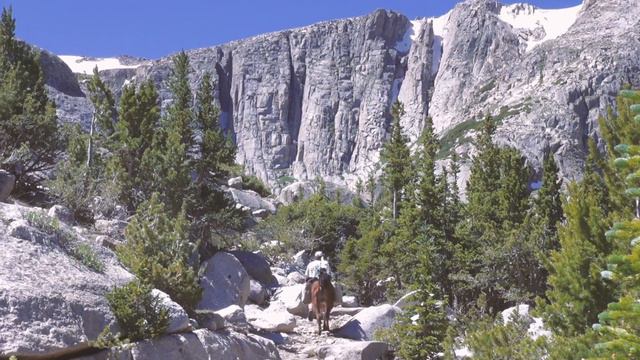 Llama Trekking Wyoming Wind River Range