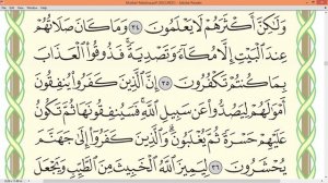 Шейх Айман Сувейд сура  Аль Анфаль стр 181