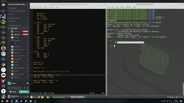 ASM. Циклы. Отладчик