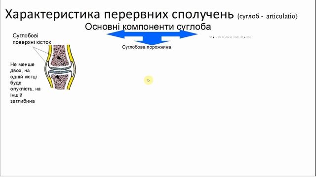 КІСТКИ, ЯК ВОНИ УТВОРЮЮТЬ СКЕЛЕТ? смотреть онлайн